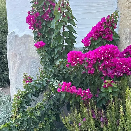 Nyaraló Luna Ruja Home&garden